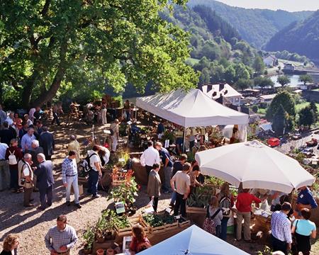 Annulation de la bourse aux plantes