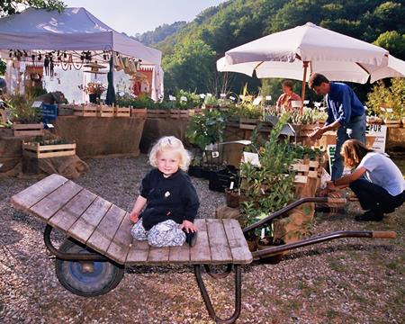 Gallery - Plant Market
