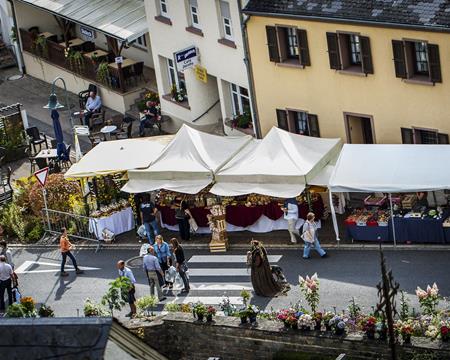 Gallery - Plant Market