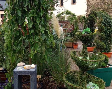 Gallery - Plant Market