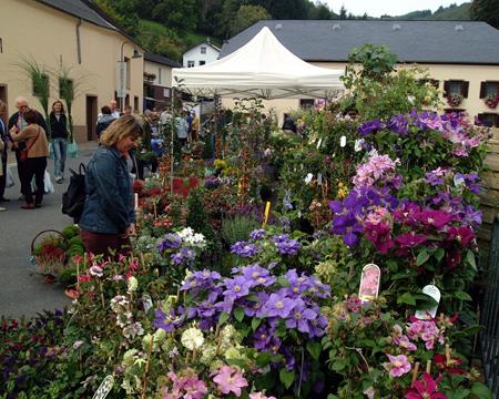 Gallery - Plant Market