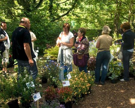 Gallery - Plant Market