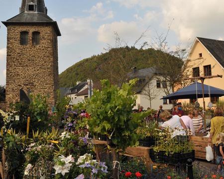 Gallery - Plant Market